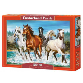 Call of nature - Puzzle 2000 pièces - CASTORLAND